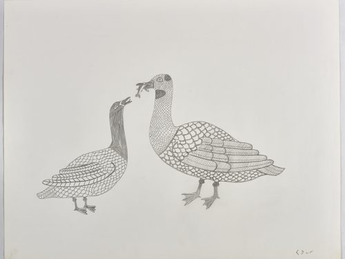 Scene depicting two birds with stylized feathers. The bird on the right has a fish in its beack and is facing the other bird which has its beak open. Scene presented in a two-dimensional style and using gray.