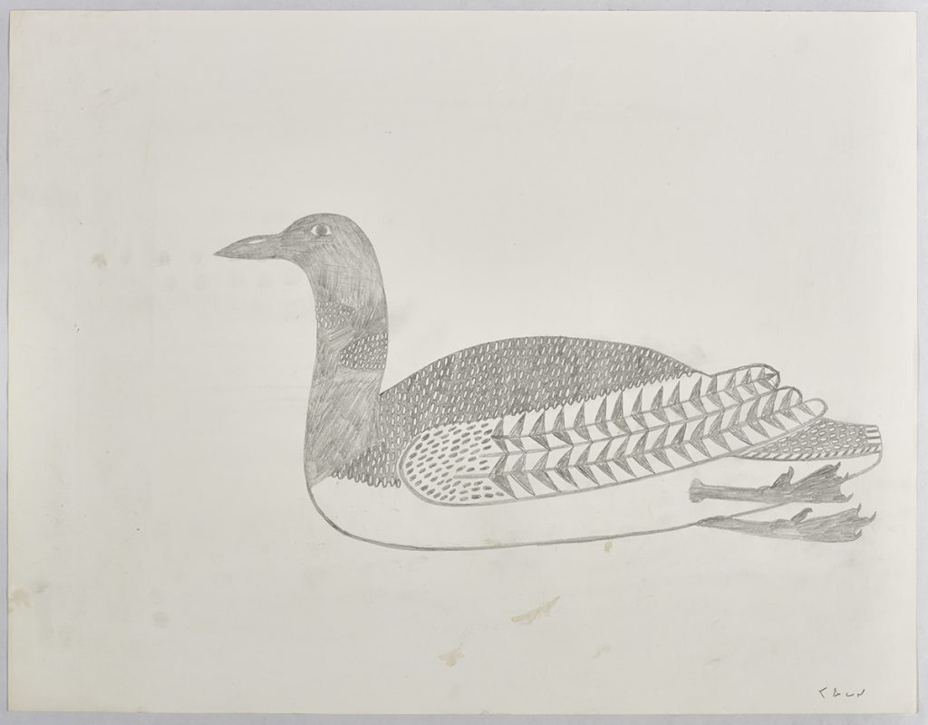Loon with its legs stretched backwards and triangle patterns on its wing is facing the left side of the page. Presented in a two-dimensional style and using gray.