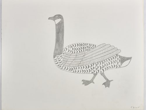 Scene depicting a large stylized goose walking tall and facing the left side of the page. Scene presented in a two-dimensional style and using gray.