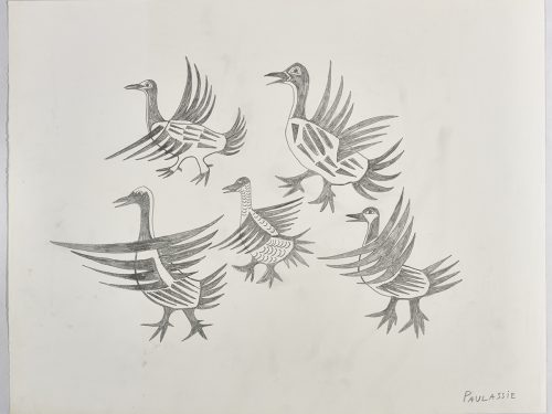Five birds of different sizes all with long