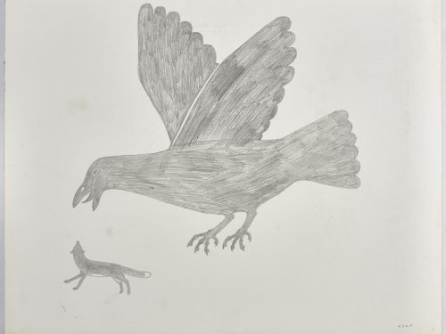 Grand corbeau avec le bec ouvert volant au-dessus d'un très petit renard roux. Œuvre bidimensionnelle exécutée en gris.