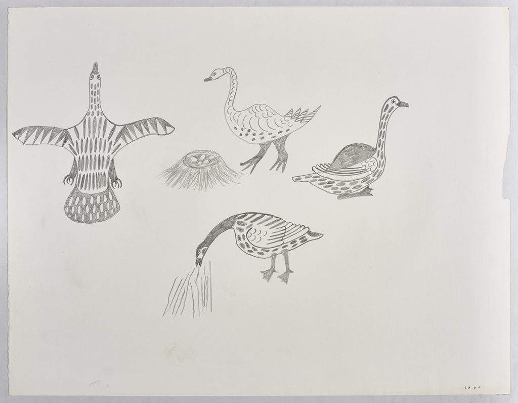 Imaginary scene depicting four stylized birds: one is eating off of the ground