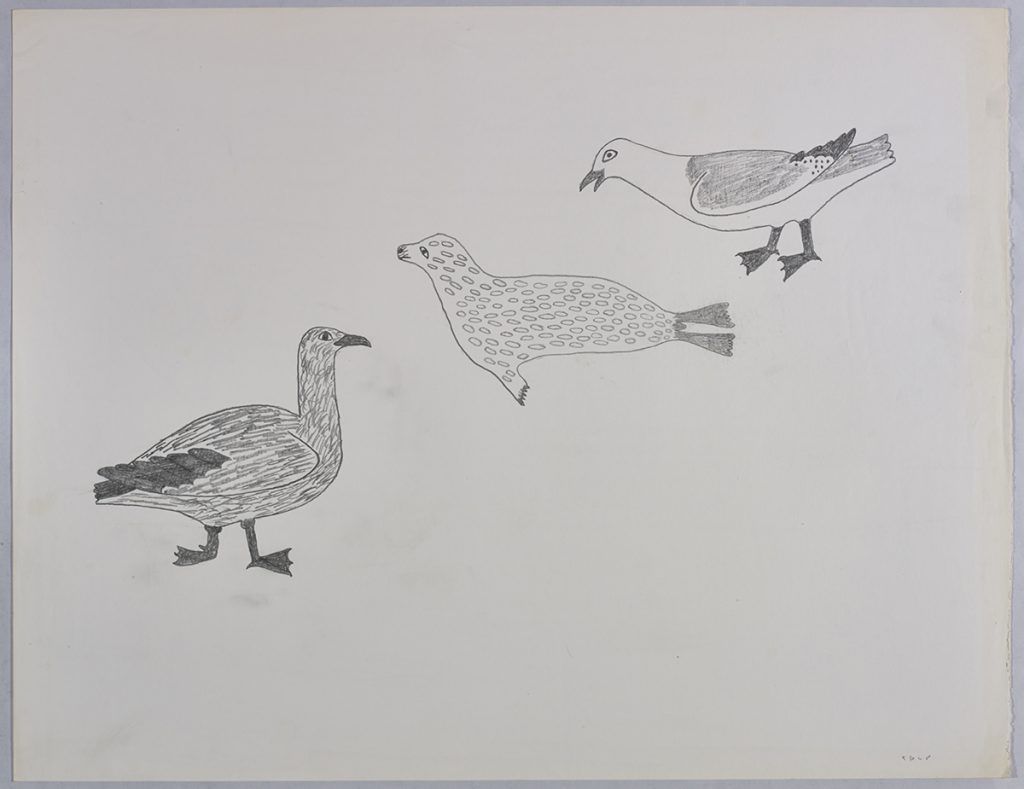 Scene depicting two different types of birds facing a ringed seal in the middle of the page. Scene presented in a two-dimensional style and using gray.