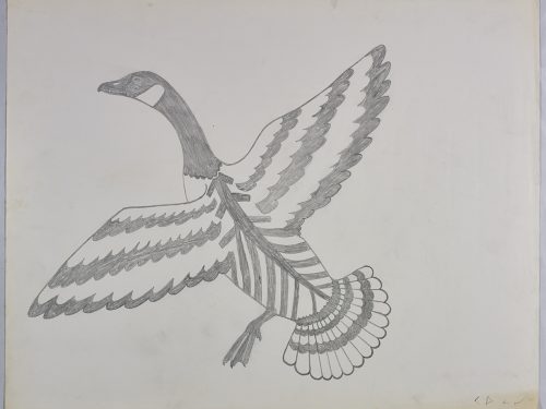 Bird's eye view of a stylized goose flying with patterns on its back and outstretched wings.Creature presented in a two-dimensional style and using gray.