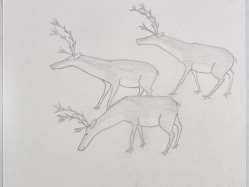 Three caribou facing the left site of the page; the one in the foreground has its head down. Scene presented in a two-dimensional style and using gray.