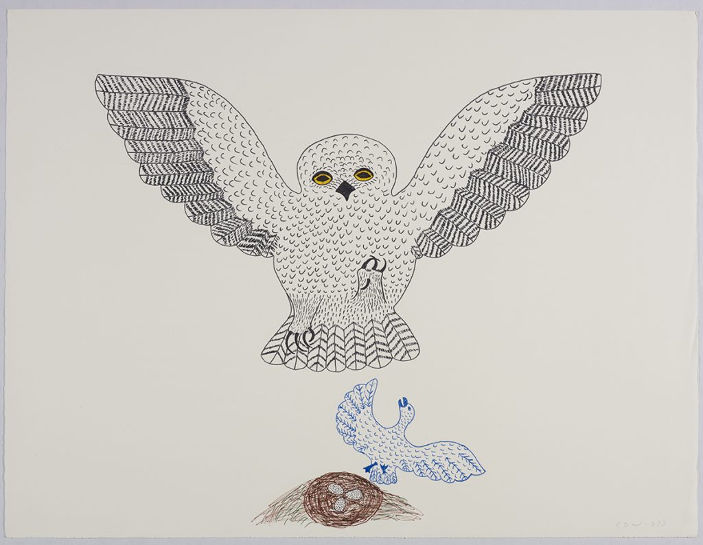Scene depicting a very large owl flying overtop of a nest with three spotted eggs and a ptarmigan with its wings outstretched and beak open just beside the nest. Presented in a two-dimensional style and using black