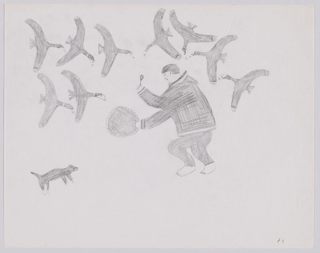 Scene depicting nine birds flying over a dog and person
