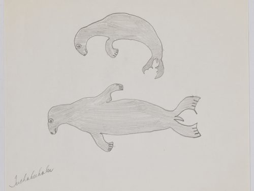 Drawing depicting two seals. Presented in a two-dimensional style and using grey. 