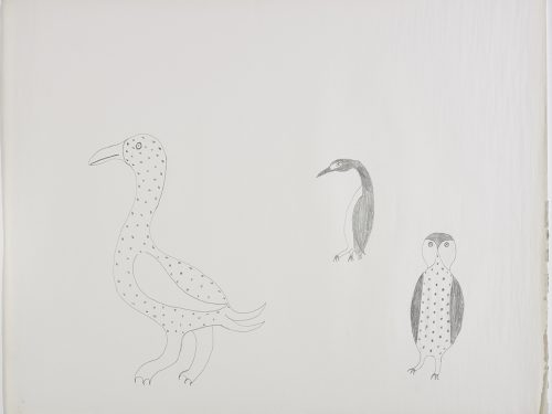 Scene depicting three different kinds of birds: a snowy owl