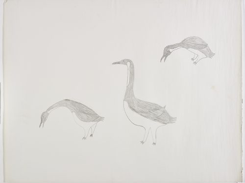 Three similar birds presented in different poses. Figures presented in a two-dimensional style and using grey.