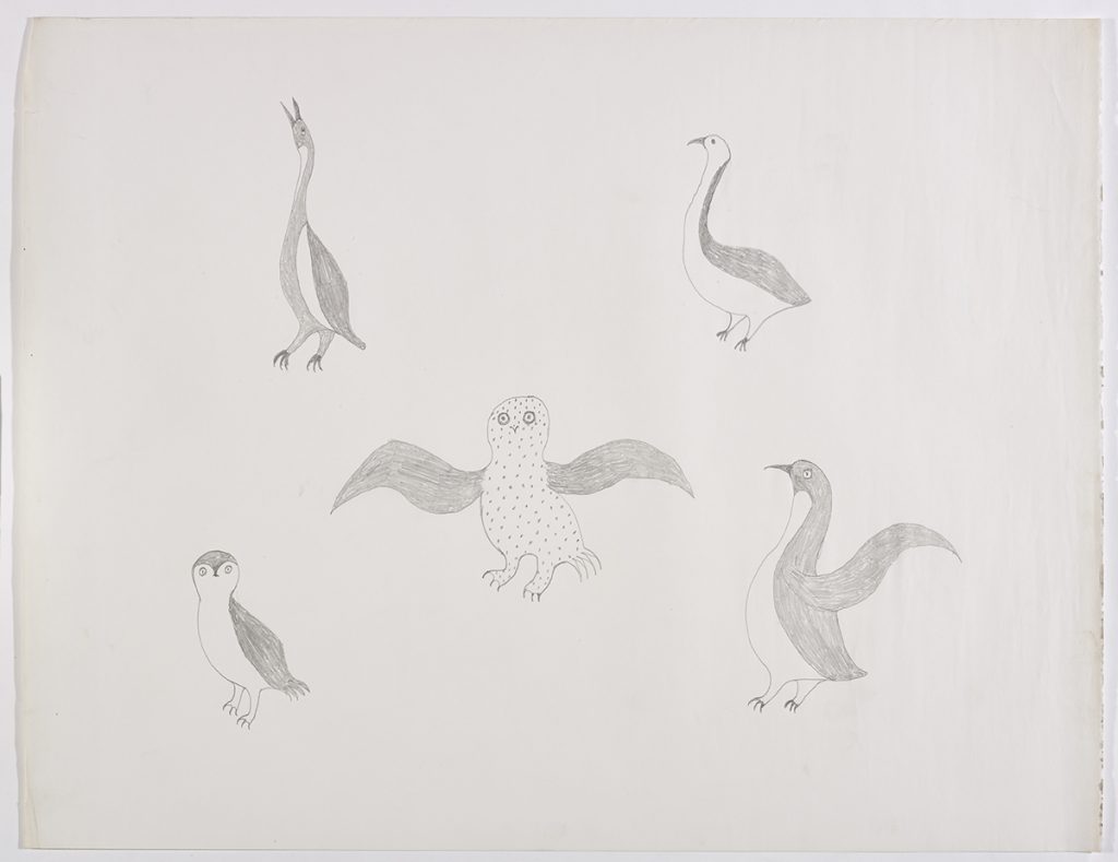 Scene depicting five birds: two stand on the top half of the page facing the left side of the page and three more on the bottom of the page presented in different poses. Figures presented in a two-dimensional style and using grey.