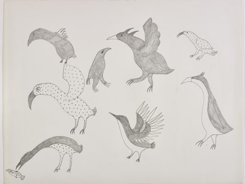 Scene depicting eight birds of different shapes and sizes with the one in the bottom left corner about to put a fish in its beak. All but one is facing the left side of the page. Scene presented in a two-dimensional style and using grey.