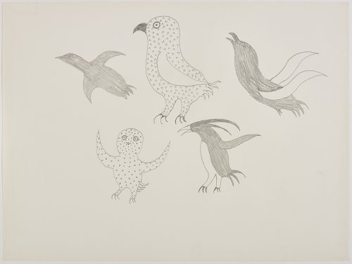 Scene depicting a group of five different stylized birds