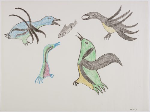 Scene depicting four birds surrounding an arctic char