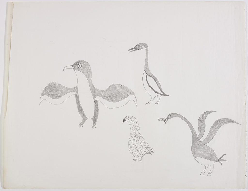 A group of four birds