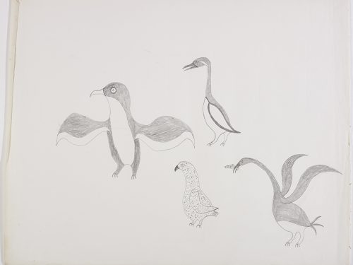 A group of four birds