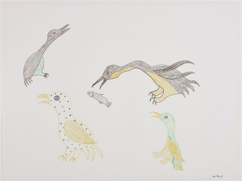 A group of four birds