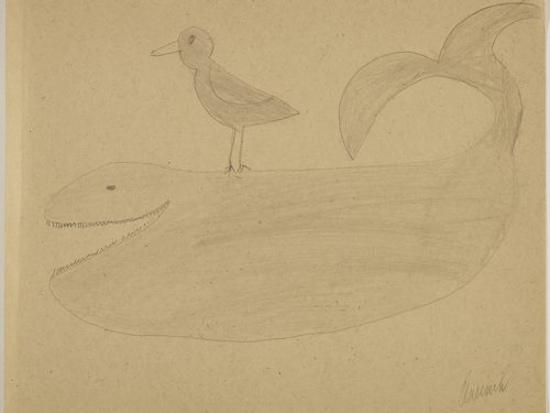 Drawing depicting a bird perched on top of a whale. Scene presented in a two-dimensional style and using grey.