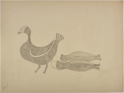 Surreal scene depicting a large bird dragging two seals with a rope. Scene presented in a two-dimensional style and using grey.