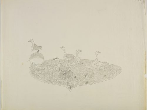 Surreal scene depicting a group of five birds all swimming in a small pond with two additional birds standing on rocks near the pond. Scene presented in a two-dimensional style and using grey.