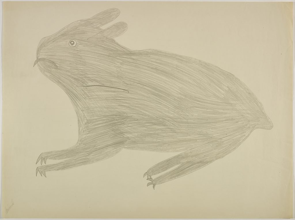 Drawing depicting a surreal hare with a frown and short ears. Design presented in a two-dimensional style and using grey.