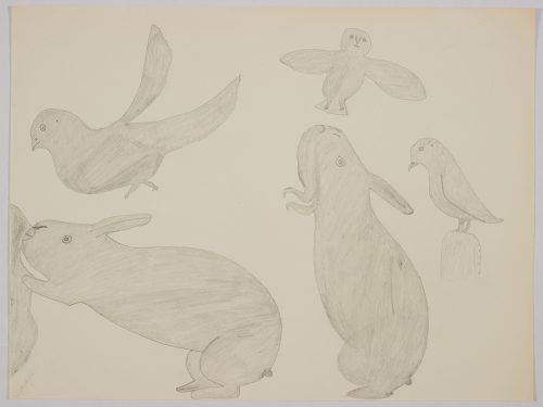 Playful scene depicting Two large rabbits are standing surronded by three birds on the top and right side of the page. Scene presented in a two-dimensional style and using grey.