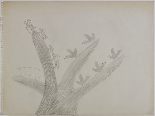 Cinq grands oiseaux perchés sur des branches d’arbres avec à leurs côtés quatre personnes gravissant jusqu'au sommet de l’arbre et un ours polaire sur une branche à gauche. Œuvre bidimensionnelle exécutée en gris.