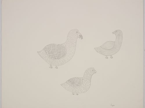 Scene depicting a large bird with stylized feathers and something in its beak next to two smaller birds with different feather textures. Scene presented in a two-dimensional style and using grey.