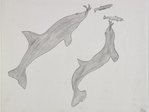 Two sharks swimming after two fish. Presented in a two-dimensional style and using grey.