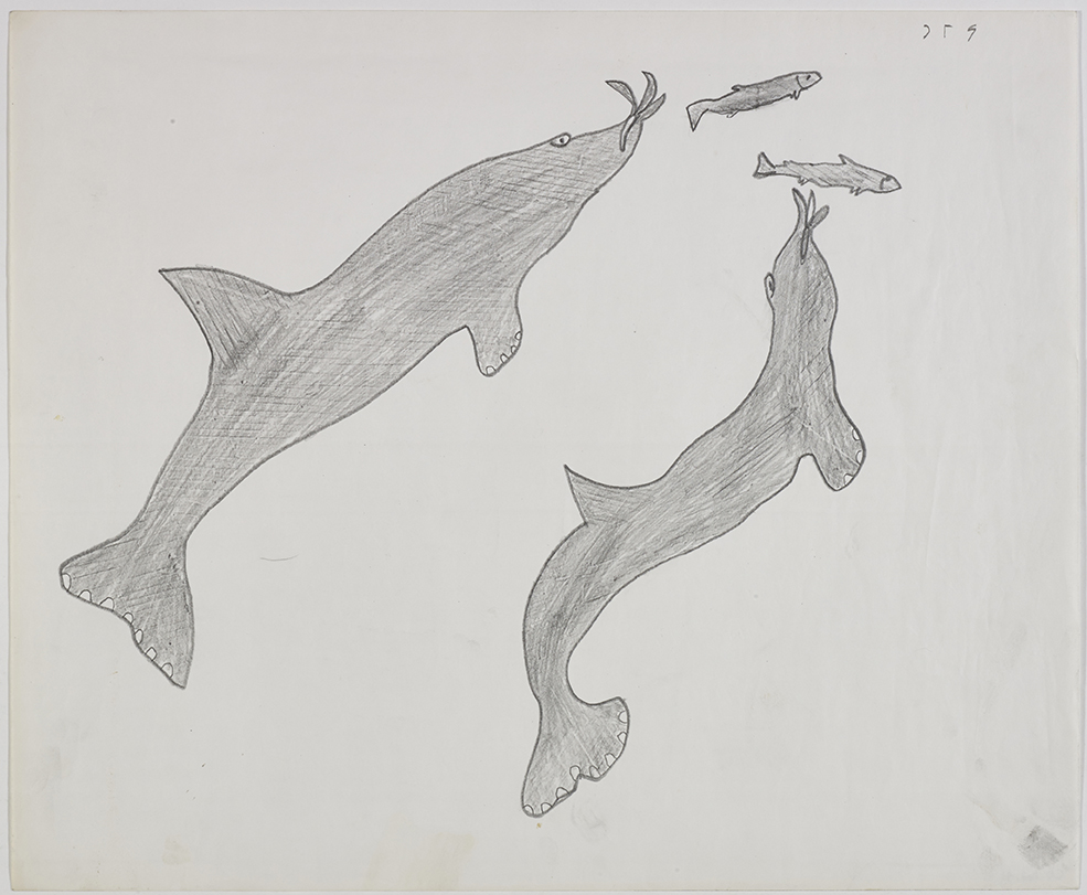 Two sharks swimming after two fish. Presented in a two-dimensional style and using grey.
