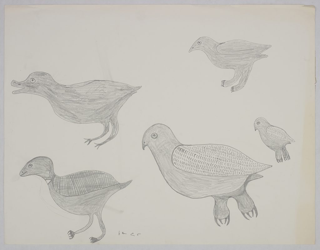 Five different birds all facing the left side of the page. Presented in a two-dimensional style and using grey.
