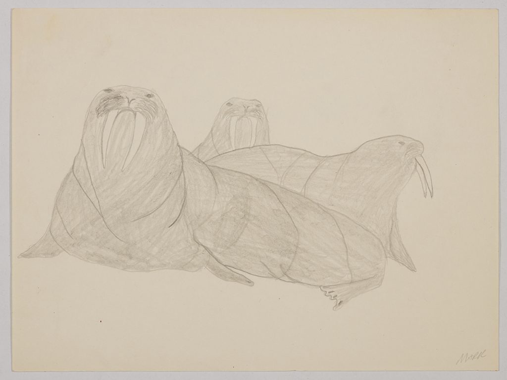 Three walruses laying in front of each other. Presented in a two-dimensional style and using grey.