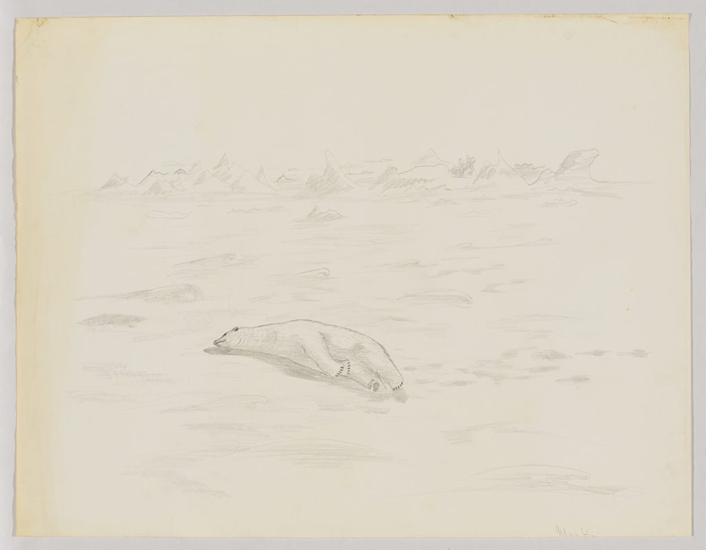 A landscape depicting a polar bear laying down on th land with glaciers in the back. Presented in a two-dimensional style and using grey.