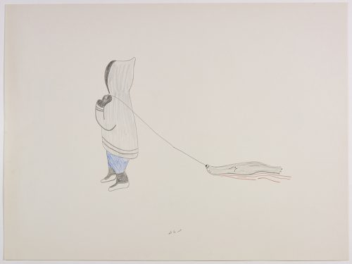 A human dragging a dead seal using a rope facing the left. Presented in a two-dimensional style and using blue