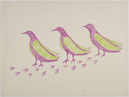 Three birds facing the left and with footprints underneath them. Presented in a two-dimensional style and using pink and lime green.