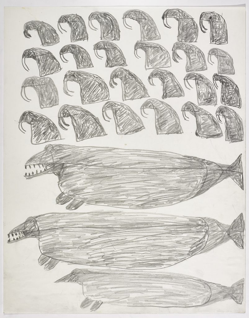 Four rows of six walrus figures above two large beluga and a seal on the bottom of the page. They are facing left and depicted in a flat