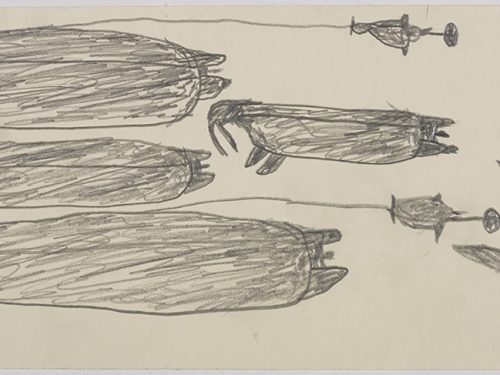 Two large walrus with sealskin floats attached to them next to another walrus and a seal on the left side
