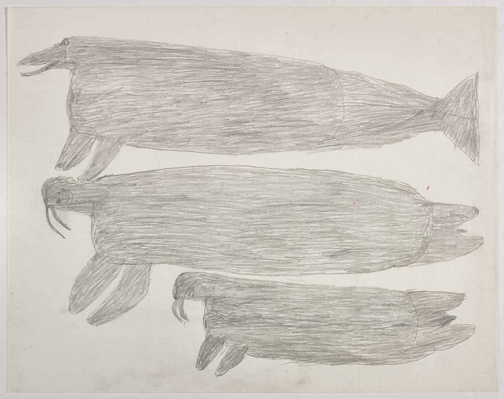 A whale-like creature on the top and two walrus on the bottom of the page. They are depicted in a flat