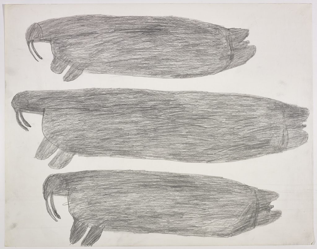 Dans le haut de la page, un morse; dans le bas, deux gros morses. Œuvre bidimensionnelle exécutée en gris.