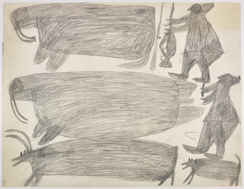 A walrus and a hunter with his weapon on the top and one huge walrus
