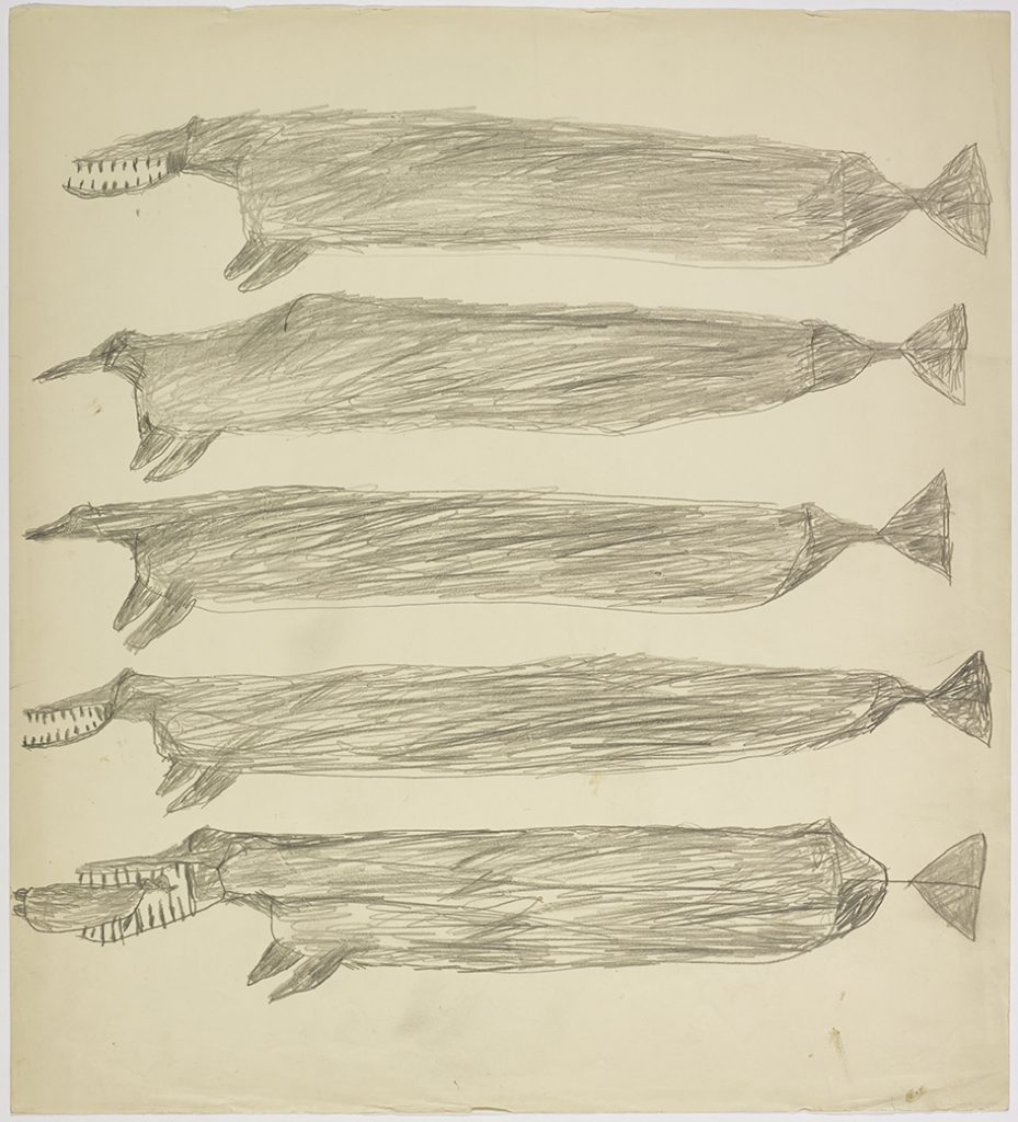 A group of five whale-like creatures facing the left. They are depicted in a flat