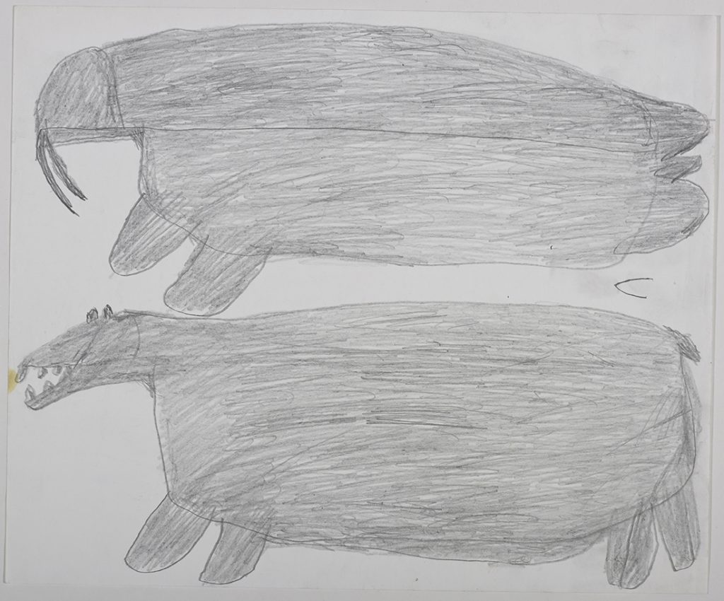 Dans le haut de la page, un gros phoque; dans le bas, un gros ours polaire. Œuvre bidimensionnelle exécutée en gris.