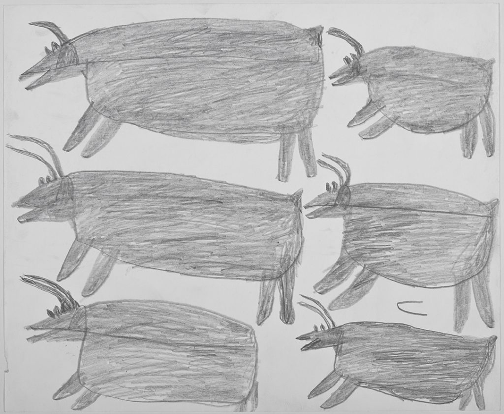 Six caribous sur deux rangées