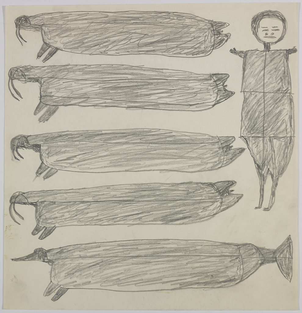 Four walrus and a whale on the right side and a person standing beside them on the left side of the page. They are depicted in a flat