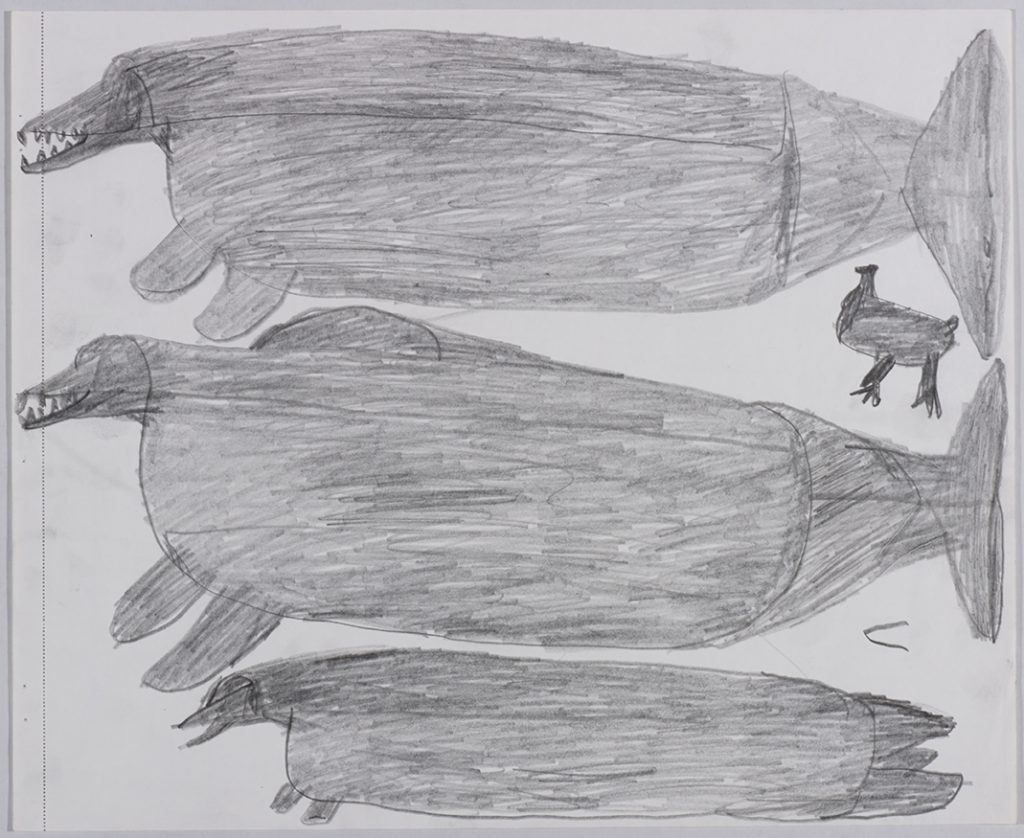 One large sea creature next to a bird on the top and another large sea creature beside a seal on the bottom of the page. They are depicted in a flat