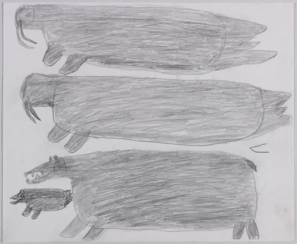 Deux morses