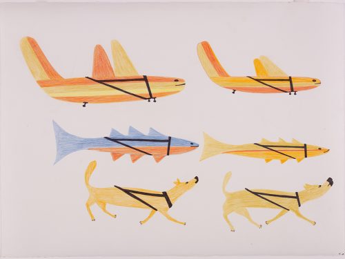 two planes with faces and wearing mushing harnesses above a row of two fish with mushing harnesses and a row of two dogs earing mushing harneses at the bottom of the page. Scene presented in a two-dimensional style using orange