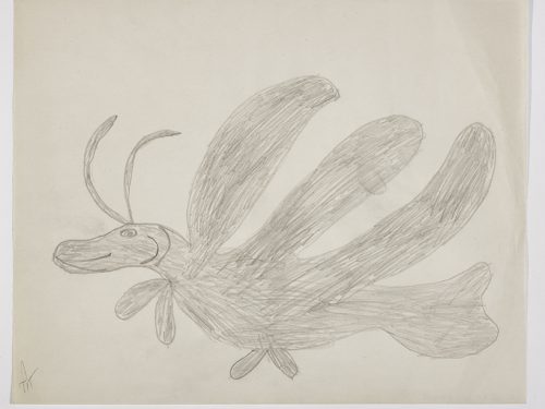 Imaginary flying creature presented in a two-dimensional style and using grey.