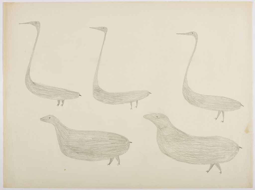 Three long necked birds on the top and two short necked birds on the bottom of the page. They are depicted in a flat