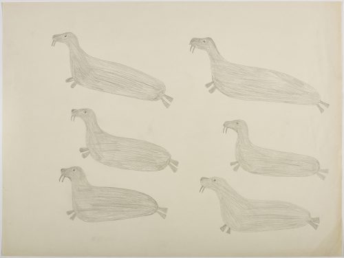 Three walrus on the left side and three walrus on the right side of the page. They are depicted in a flat